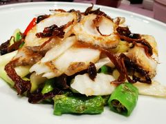 -子福慧(虹桥店)
