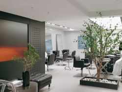 点击看大图 -付军剪艺JF ProSalon