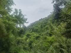 -九龙潭景区