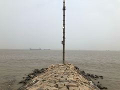-上海滨江森林公园