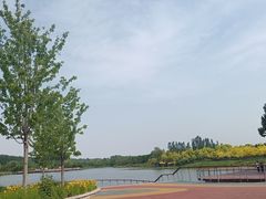 -东郊湿地公园