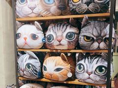 -猫咪博物馆(顶澳仔猫街店)