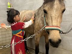 -骑乐马术(广州奥体优托邦中心)