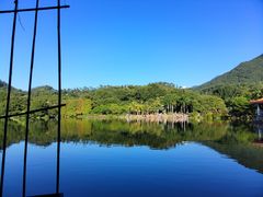 -深圳仙湖植物园