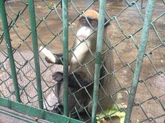 -秦皇岛野生动物园