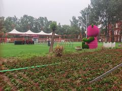 -稻香湖公园