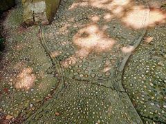 -上海佘山国家森林公园天马山园