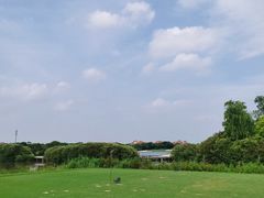 -棕榈滩海景高尔夫俱乐部