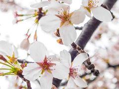 -西北湖绿化广场