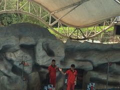 -泉州海丝野生动物世界