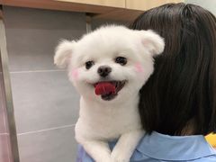 -宠福鑫康馨动物医院·骨科·眼科
