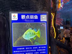 -威海华夏城景区