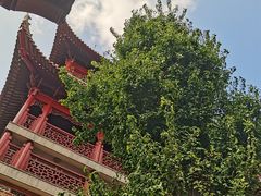 -钦赐仰殿道观
