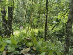 -青龙山国家森林公园