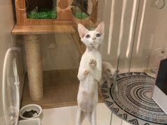 -拜鲁耶动物诊疗中心·宠家动物医院