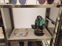 -LensCrafters亮视点·OAKLEY精选(静安嘉里中心店)