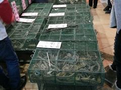 -荔城生鲜盛宴(番禺旗舰店)