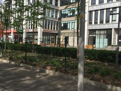 -首都医科大学附属北京地坛医院