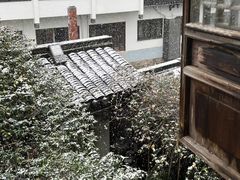 -普洱茶府(博乐广场店)