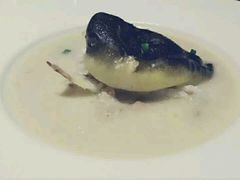 -梧桐餐厅(泉城路店)