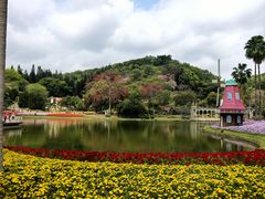 -点都德(广州白云山景区南门店)