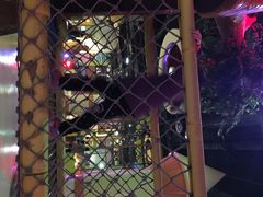 科技馆-重庆科技馆