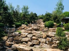 -莫子山公园