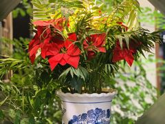 -名善山珍·野生菌汤锅(文殊院店)