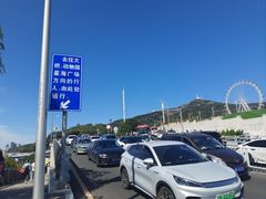 -星海湾跨海大桥