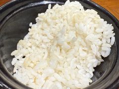 米饭-金石滩绿发温泉假日酒店-海洋之星餐厅
