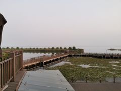 -新木器时代餐厅(太湖新天地店)