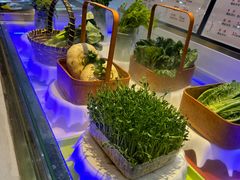 -东方山水金沙酒店-雅香阁中餐厅