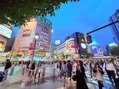 -涩谷全向十字路口