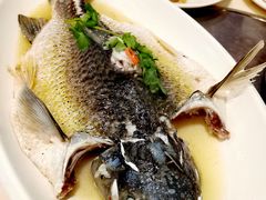 油盐蒸大鲩鱼-九记路边鸡(滨江路店)
