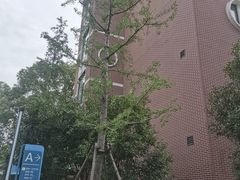 -上海交通大学医学院附属第九人民医院(浦东院区)