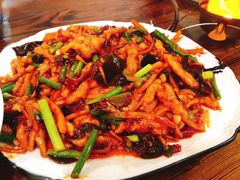 -东北田记家常菜