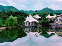 -帐篷客·溪龙茶谷度假酒店