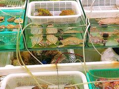 水产区-胖子饺子馆·海鲜家常菜(海军博物馆店)