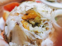-春华海鲜城(广场西苑店)