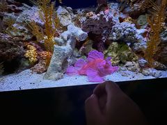 -暹罗海洋世界