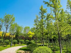 -森林公园(尖草坪区)