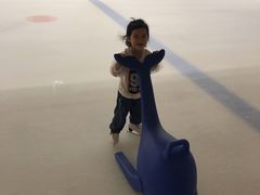 -TheRink大零溜冰场(IFS国金中心店)