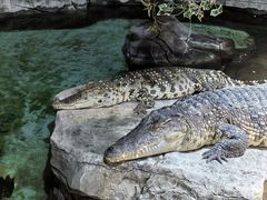 -泉城欧乐堡海洋极地世界