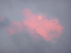 -大连体育中心体育馆