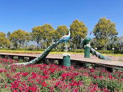 -广东花都香草世界旅游度假区