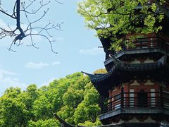 -上海佘山国家森林公园西佘山园