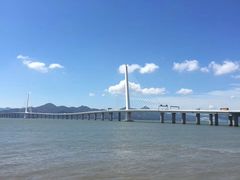-深圳湾公园-停车场