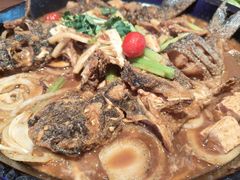 -老板恋上鱼(恒隆广场店)