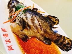 清蒸老虎斑-阿浪海鲜连锁加工店(B栋2排1号火车头店)