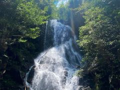 -江西阳明山国家森林公园